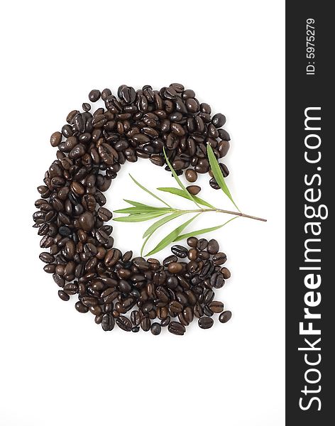 Closeup shot of coffee beans against white background with Tarragon herb
