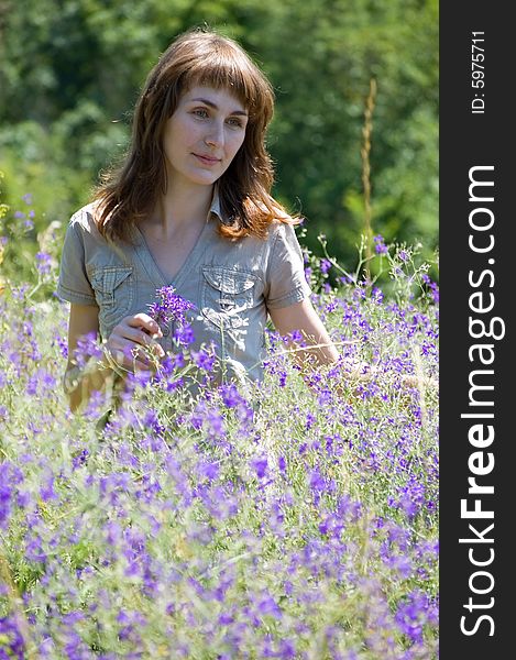 The Girl Collects Wild Flowers