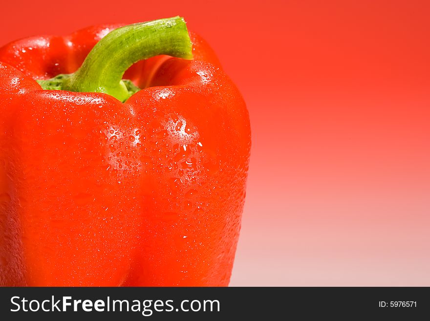 Red Bell Pepper on red gradient background