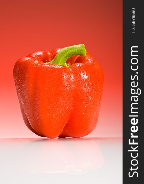 Red bell pepper lit with red gradient lighting. Red bell pepper lit with red gradient lighting