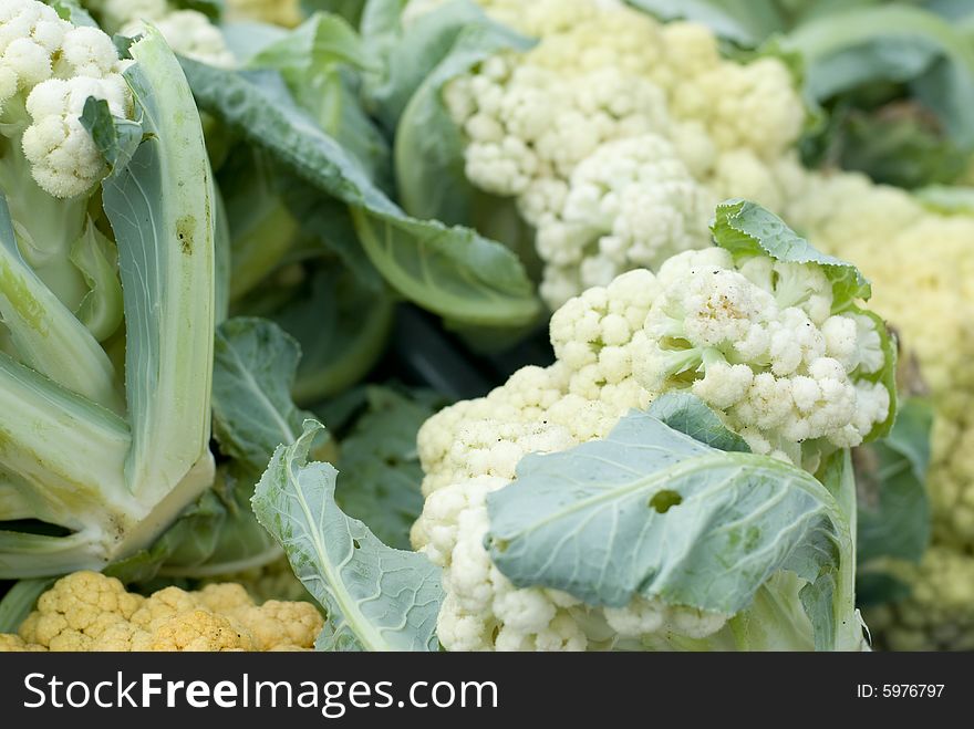 Tightly packed cauliflower heads enveloped by their leaves. Tightly packed cauliflower heads enveloped by their leaves.