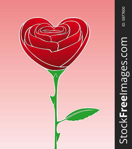 Red rose in heart shape. Red rose in heart shape