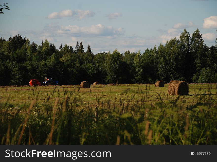 Haystacks on the field in summer