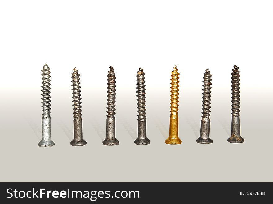 One gold screw among set metal screws. One gold screw among set metal screws.
