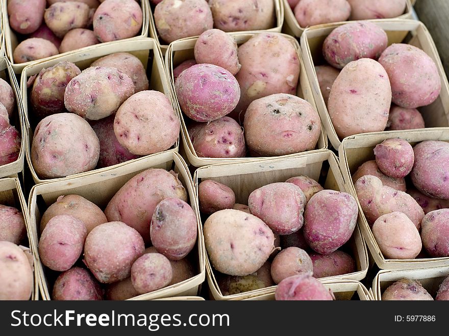 Fresh red skinned potatoes for sale. Fresh red skinned potatoes for sale.