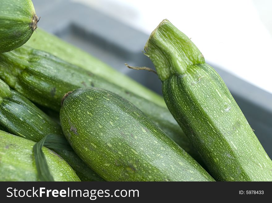 Several pale green zucchini in a gray crate. Several pale green zucchini in a gray crate.