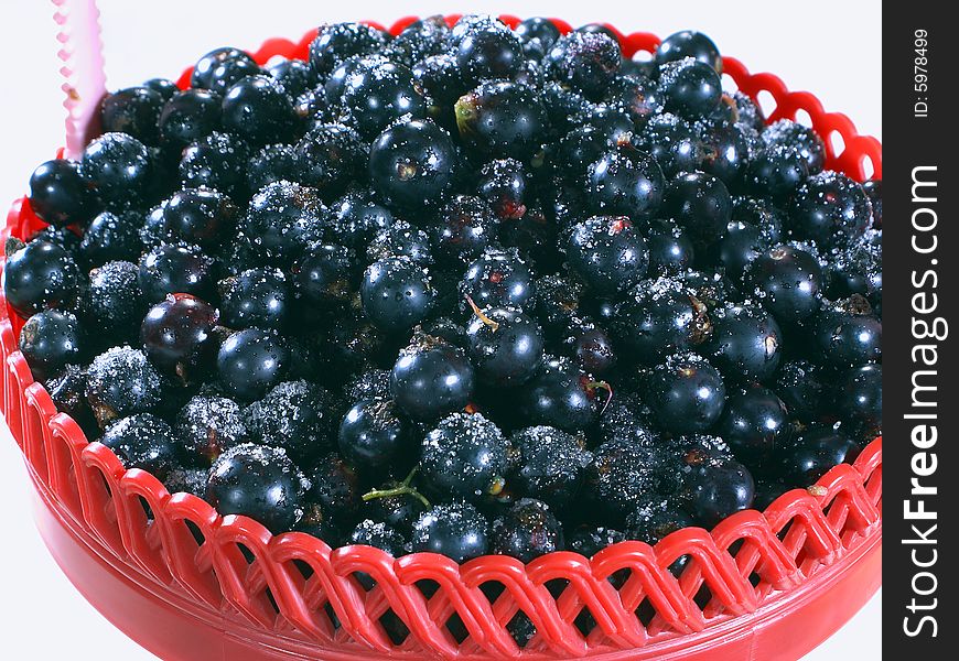 Berries Black Currants And Sugar.