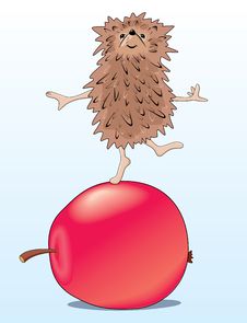 Hedgehog On Apple Stock Photos Hedgehog On Apple Stock Photos