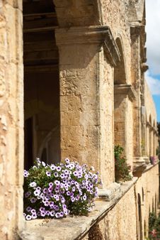 Flowers At The Wall Of Ancient Fortress Stock Photo Flowers At The Wall Of Ancient Fortress Stock Photo