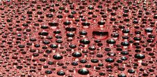 Water-drops On Red Stock Photos