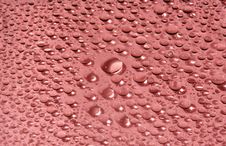 Water-drops On Red Stock Photos