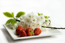 Cherry And Strawberry Blossom Stock Photography Cherry And Strawberry Blossom Stock Photography