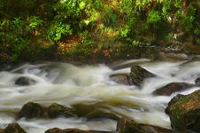 Stream In Scottish Highlands Royalty Free Stock Photography