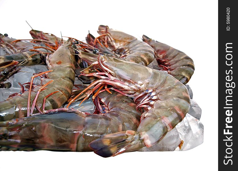 Fresh Big Sea Tiger Prawns on Ice. Fresh Big Sea Tiger Prawns on Ice