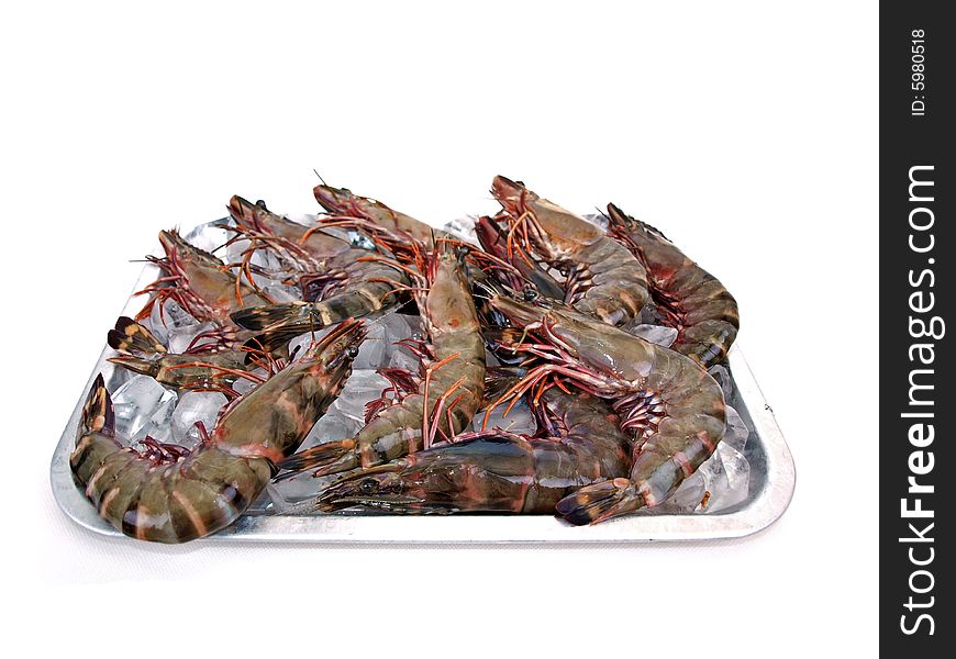 Fresh Big Sea Tiger Prawns on Ice in Steel Tray. Fresh Big Sea Tiger Prawns on Ice in Steel Tray