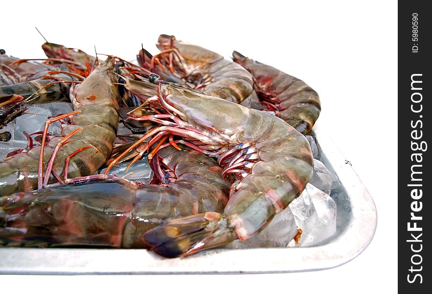 Fresh Big Sea Tiger Prawns on Ice in Steel Tray Closeup. Fresh Big Sea Tiger Prawns on Ice in Steel Tray Closeup