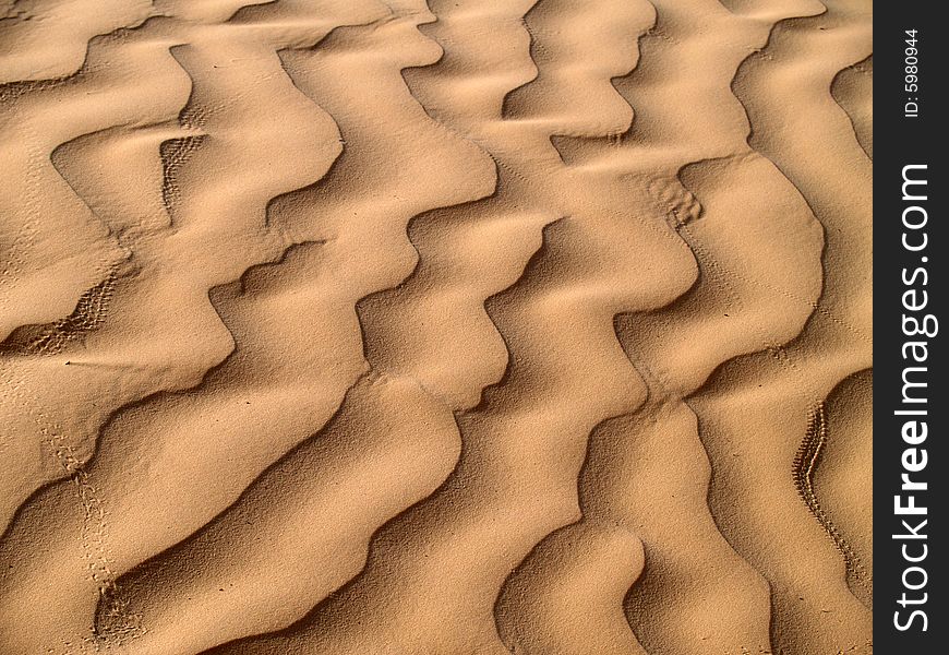 Sund dunes in Sahara desert.