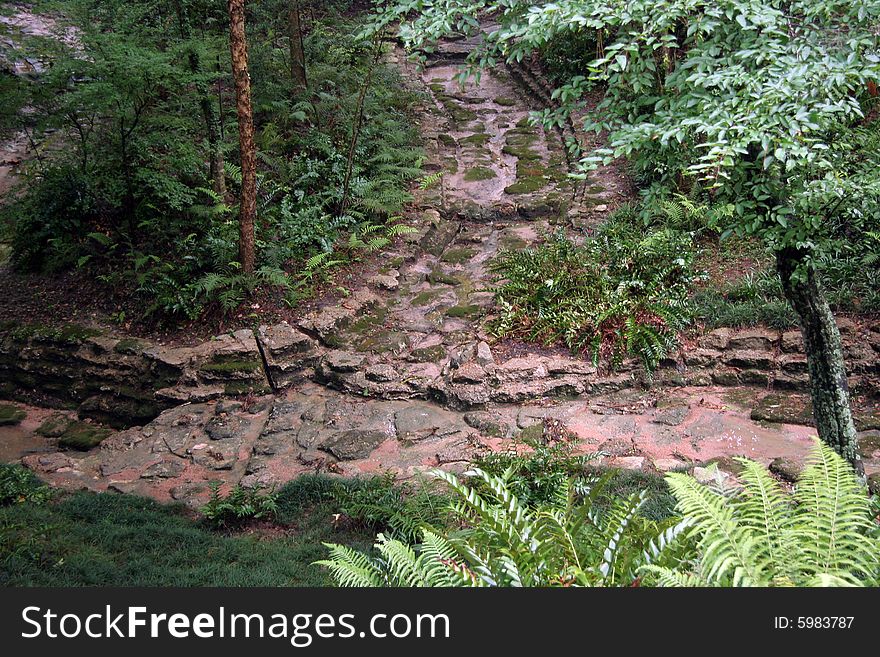 A stone pathway going into the forest