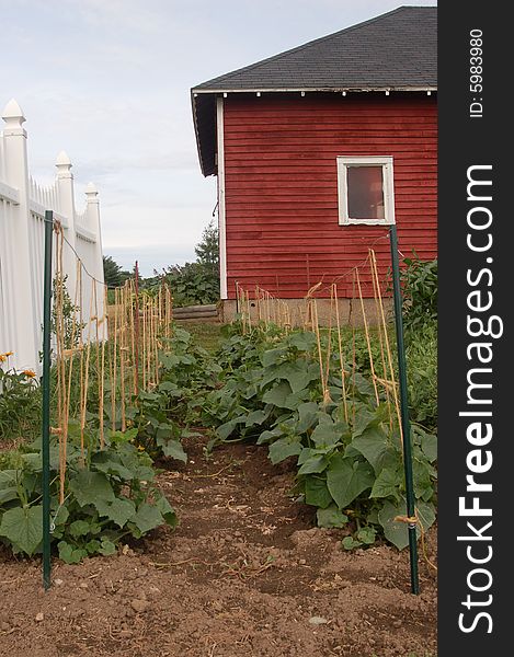 Country garden with garden shed and fence. Country garden with garden shed and fence.