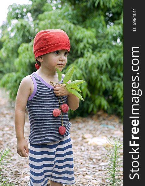 Young boy with red hat holding branch with lychee in garden grove. Young boy with red hat holding branch with lychee in garden grove