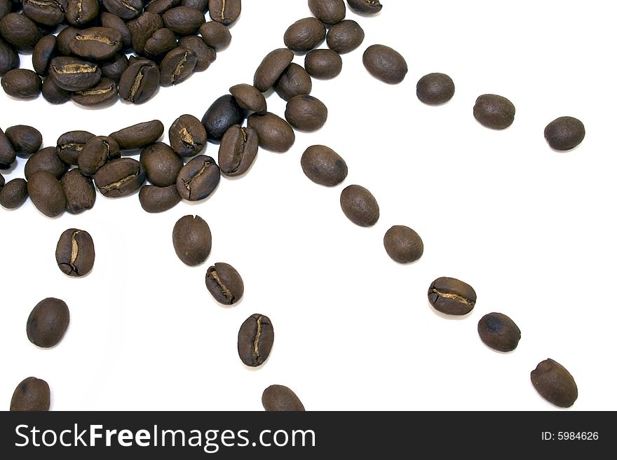 Coffee Beans Sun