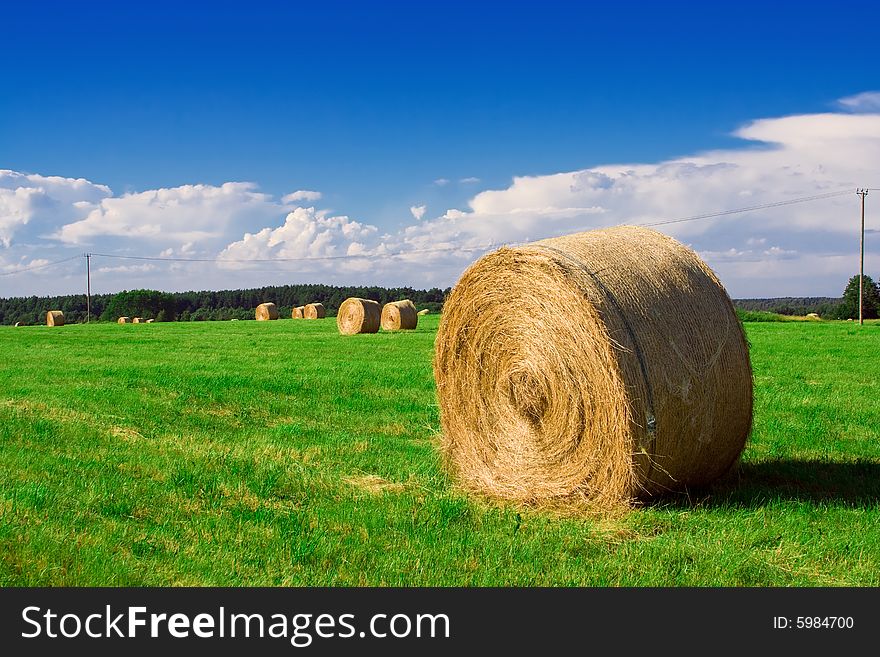 Stack in a green meadow in summer. Stack in a green meadow in summer