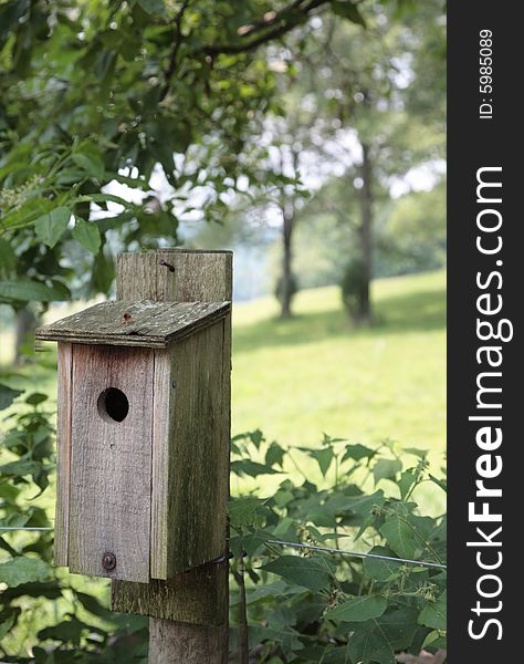 Birdhouse wood nesting box hole forest green