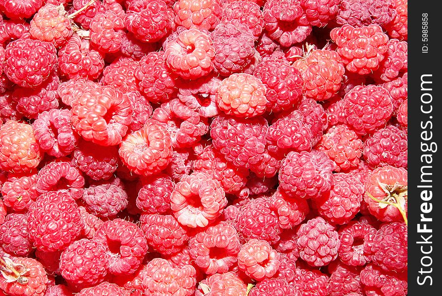 Background with many fresh raspberries