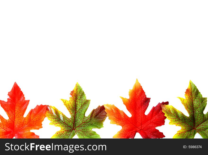 A border of silk leaves for autumn. Isolated on a white background. A border of silk leaves for autumn. Isolated on a white background.