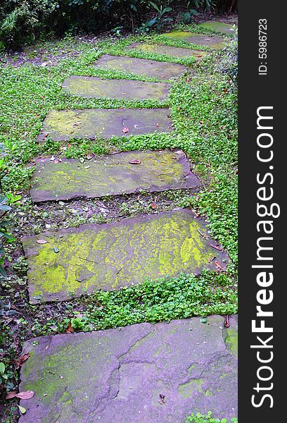 Green alley in a garden,Chengdu,China