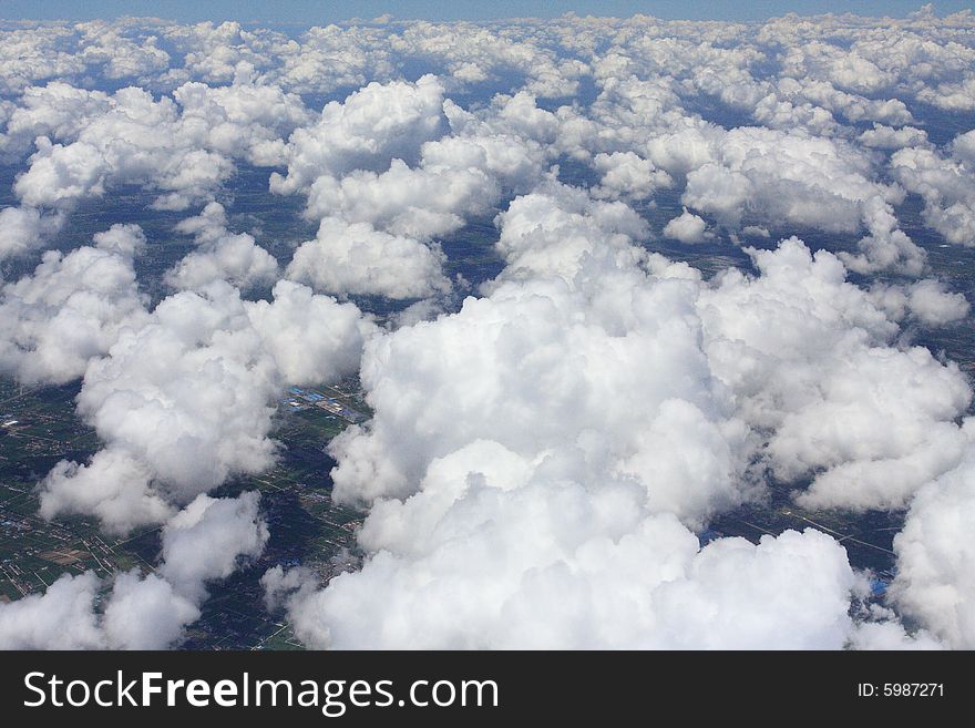 Flying Cotton