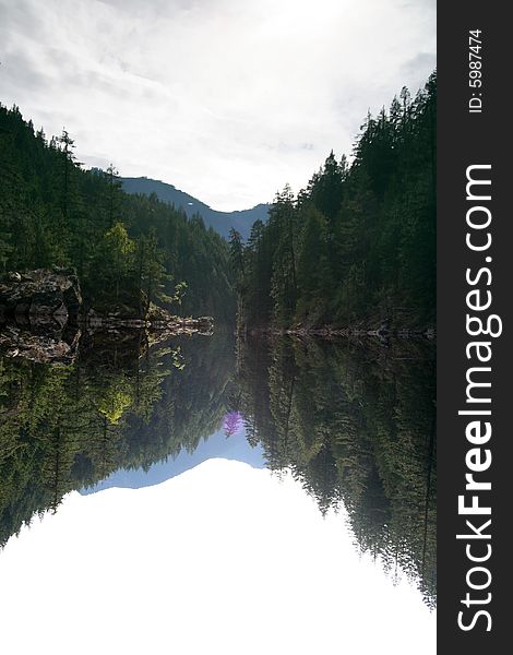 A reflection of a forest on a glassy lake surface. A reflection of a forest on a glassy lake surface
