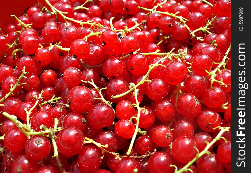 Heap of a red currant