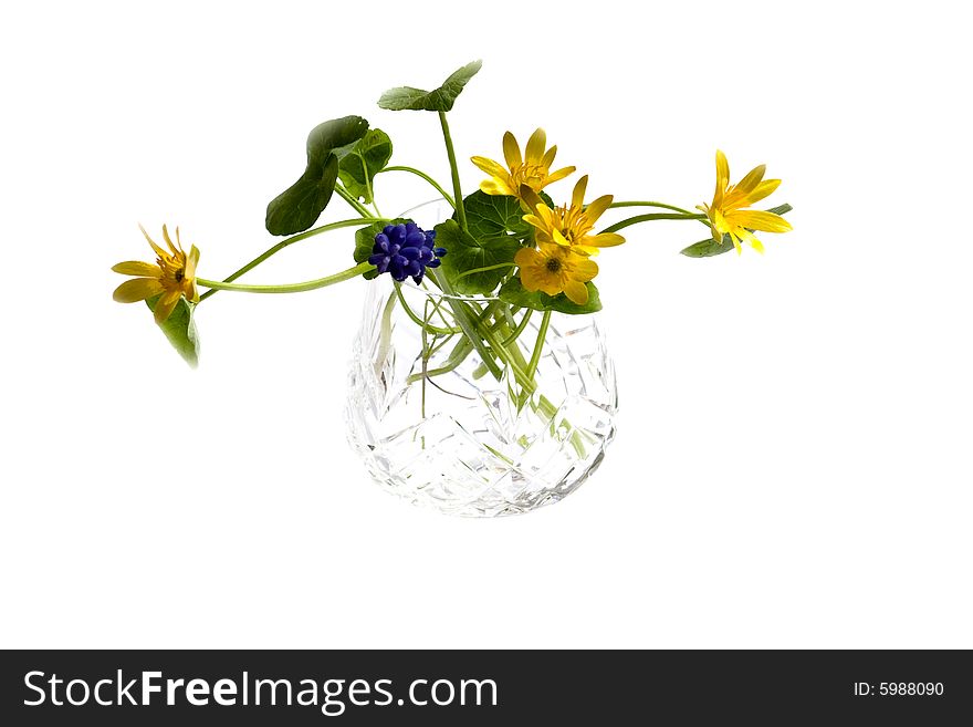 Spring flowers in crystal glass vase