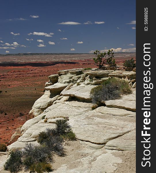 It is photographed on road from Bryce canyon to Arches canyon. Utah. USA. It is photographed on road from Bryce canyon to Arches canyon. Utah. USA