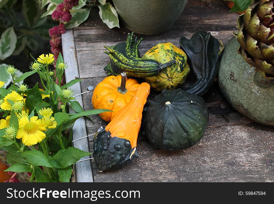 Pumpkins on a Wooden Box with Flowers