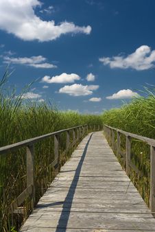 Wooden Footpath In The Reed Royalty Free Stock Images Wooden Footpath In The Reed Royalty Free Stock Images