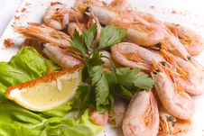 Boiled Shrimps Royalty Free Stock Image Boiled Shrimps Royalty Free Stock Image