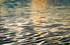 Liquid Gold Stock Photo Liquid Gold Stock Photo