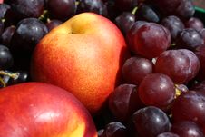 Nectarines And Grapes Royalty Free Stock Photography Nectarines And Grapes Royalty Free Stock Photography