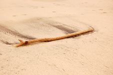 Drift Wood Stock Photo Drift Wood Stock Photo