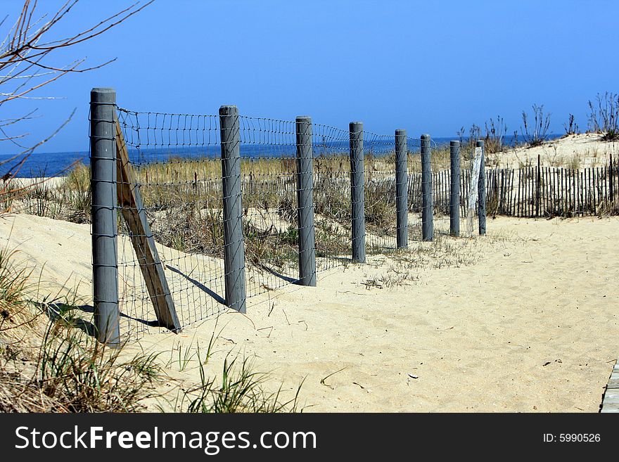 Fence Posts on a Beach. Fence Posts on a Beach