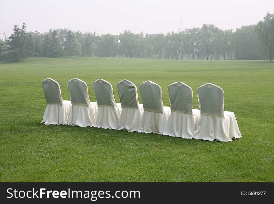 Seven chairs standing on the grass. Seven chairs standing on the grass