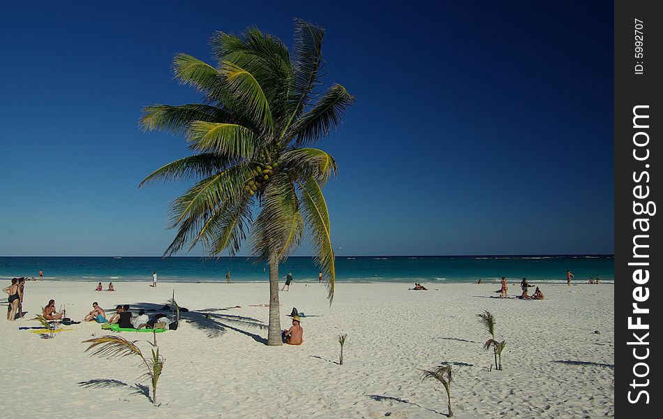 At the beach in Tulum, Mexico