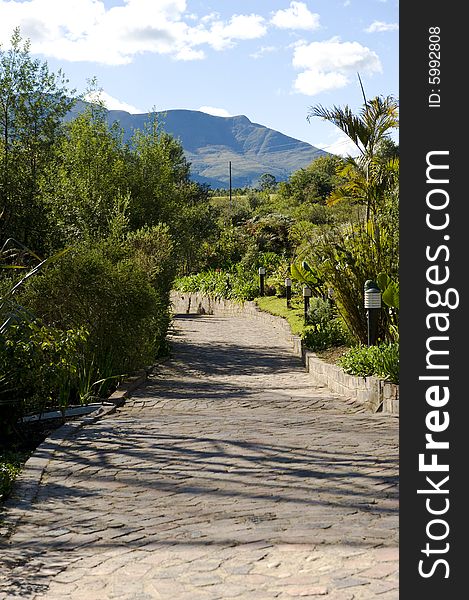 A brick walkway leading through a beautiful lush garden. A brick walkway leading through a beautiful lush garden.