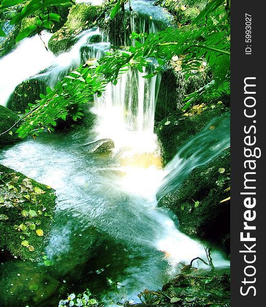 Stream waterfall in green forest