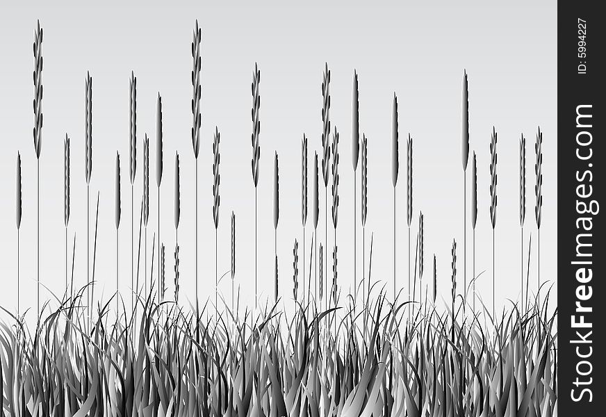 Illustration of grass, black, gray