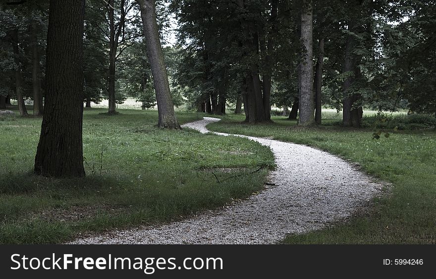 Twisting road in the park. Summer. Poland.