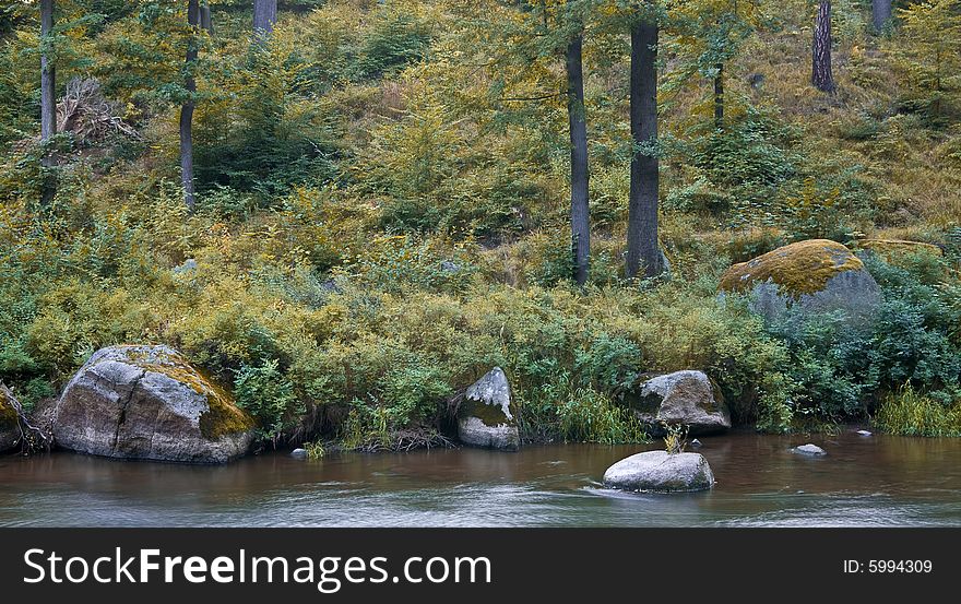 Forest on the riverside with big rocks, trees, moss and other vegetation. Autumn, Poland.