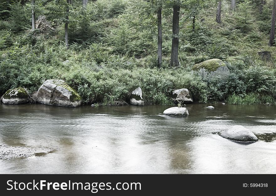 Forest on the riverside with big rocks, trees, moss and other vegetation. Summer, Poland.